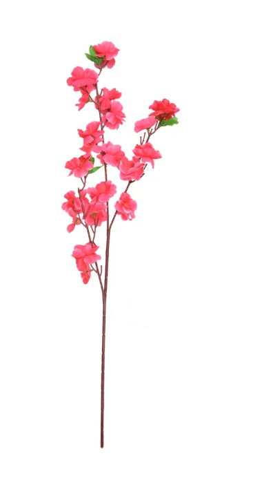 Kwiat brzoskwini VC0560 Arpex